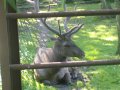 IMGP0795.JPG